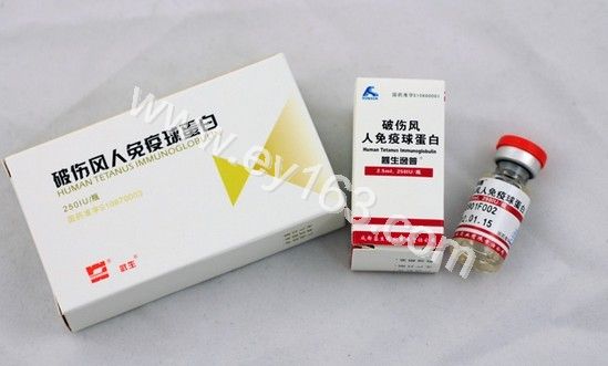 免疫球蛋白专业术语是什么 免疫球蛋白是什么意思
