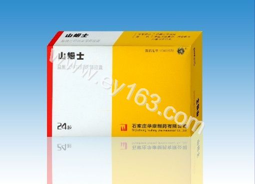 盐酸二甲双胍缓释胶囊
