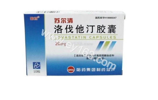 洛伐他汀胶囊